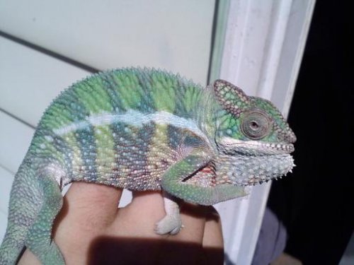 Sonny September 2.jpg