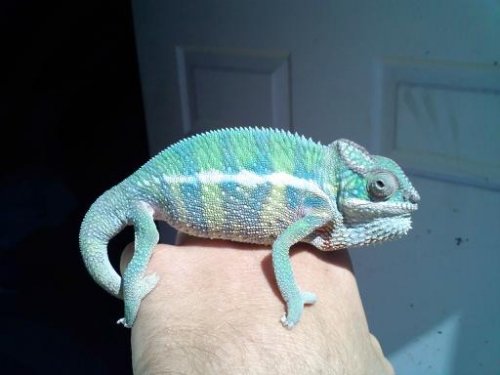 Sonny September 3.jpg