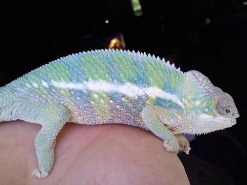 Sonny September 4.jpg