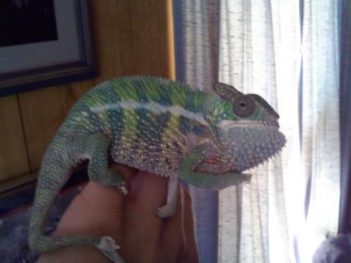 Sonny September 5.jpg