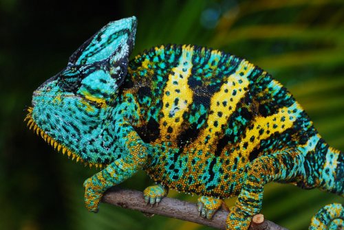 luie and camill aug2009 095.jpg