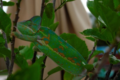 Luie's best shot 324.jpg