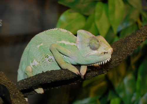 DSC_6016.JPG