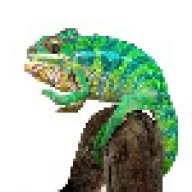 Zen Reptiles