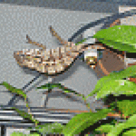 turbohb