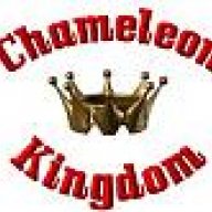 Chameleon Kingdom