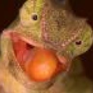 OfficialChameleon