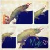 Mylo124