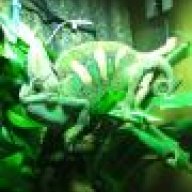 Rango220