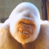 Gorillameleon