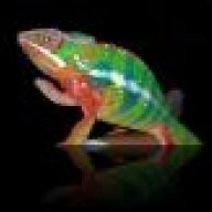 lizardlove