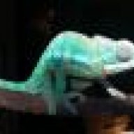 greenfielda2009