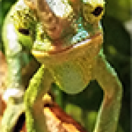 paulkaranik