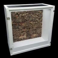 Rain Forest Habitats