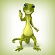 Reptile Pet Shops