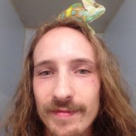 Morbis the meleon