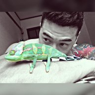 Smeagol JS10