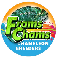 FramsChams