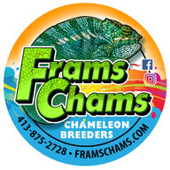 FramsChams