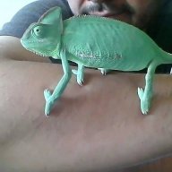 roo666