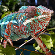 richosullivan