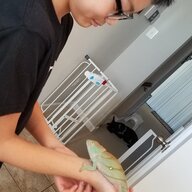 ChamChamChangeForMe