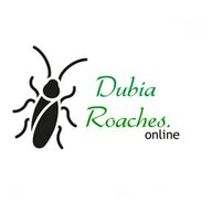 Dubia Roaches Online
