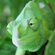Olimpia