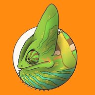 SerpeRoma