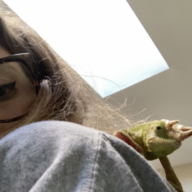 chameleonaire$