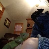 Macy&Pixie the chameleons