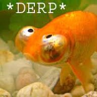 Darsii