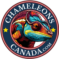 ChameleosCanada