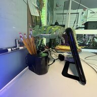 Jo_bo_24