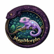 MagiMorphs