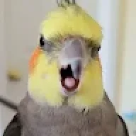 oosos