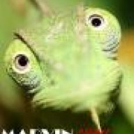 marvincham