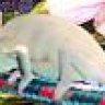 mrx