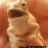 HSTUDIO