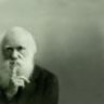 The Biologist