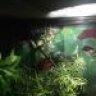 Rango1322