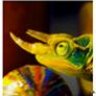 shell4art