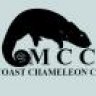 midcoastchameleon