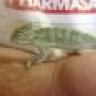 Camo the Chameleon
