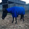 AshTheEquestrian