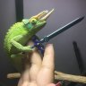 lizal.fos