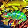 coastal_chameleon