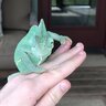 Camille the chameleon