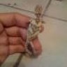 blazedup520