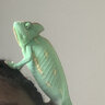 Yoshi Jones